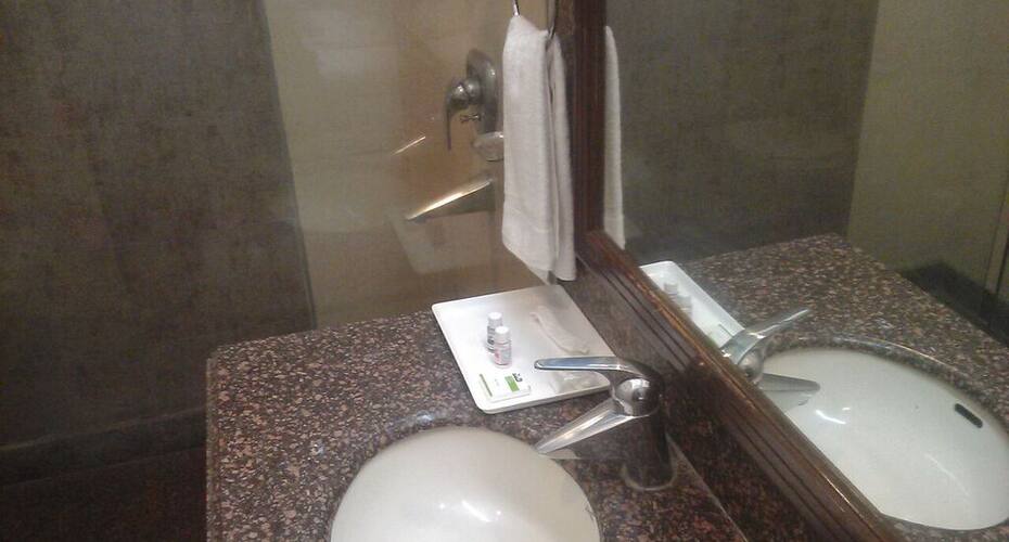 The Hotel Mys, New Delhi 4